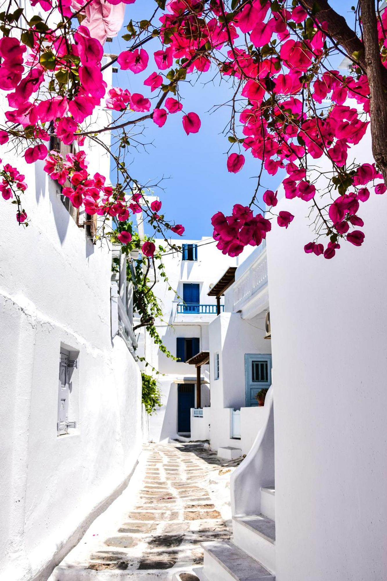 Aparthotel Aniko White Alley *